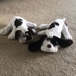 2 pound puppies